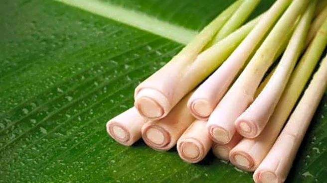 How to use lemongrass for everyday wellness