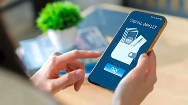 What you should know about digital wallets in India
