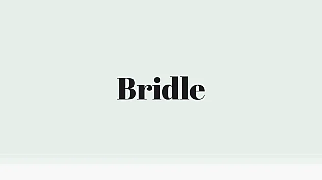 Word of the Day: Bridle