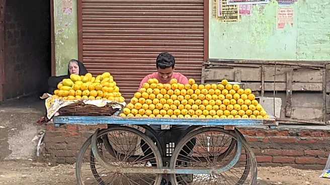 5 festivals that celebrate seasonal fruits