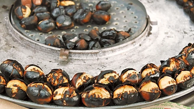 Try roasted water chestnuts instead of spiced corn nuts