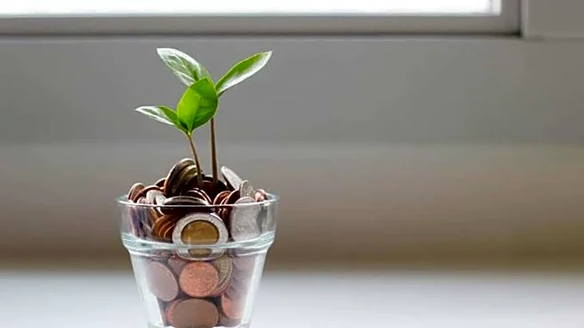 How to invest in Indian sectoral funds