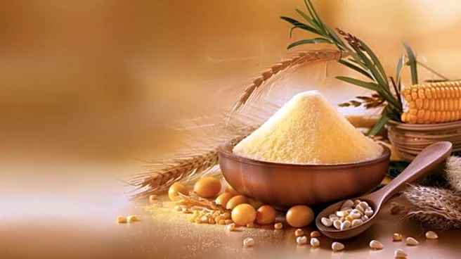 Maize meal: A versatile choice for vegetarian dishes