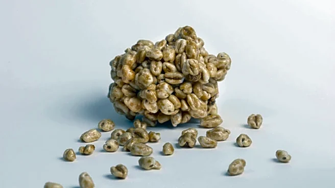 Make snack time more interesting with puffed quinoa clusters