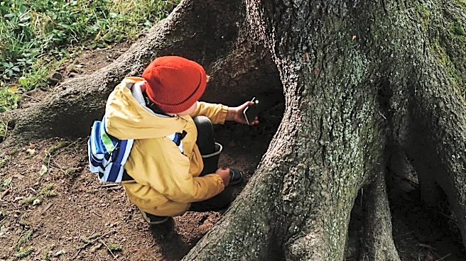 Looking for a new outdoor hobby? Try geocaching