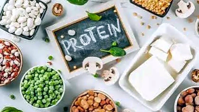 Debunking all myths about protein intake