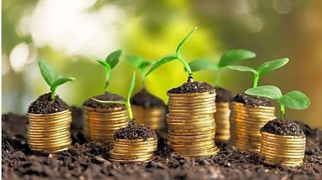 Everything to know about green loans in India