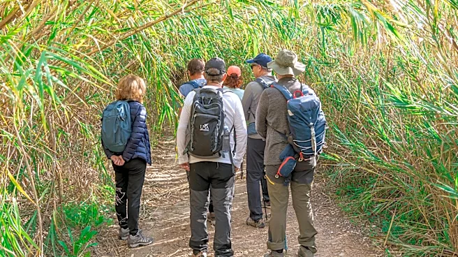 Hiking helps you sleep better: Here's how