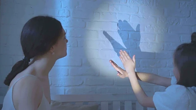 Shadow puppetry: The Indian art of storytelling through shadows