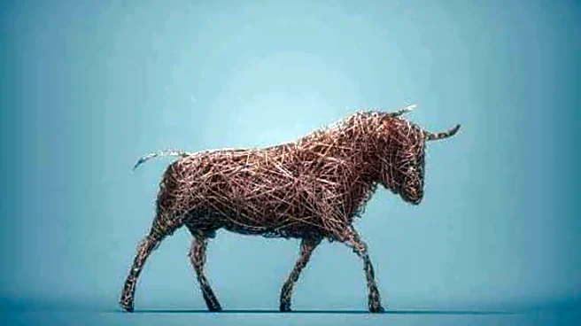 How artists are turning discarded wire into art