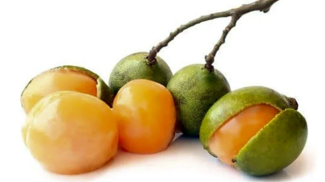 Meet genip, the Spanish lime with many benefits