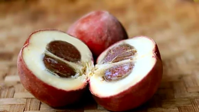 5 amazing health benefits of persimmon