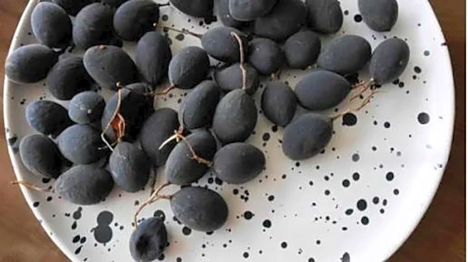 Velvet tamarind: 5 ways to enjoy this fruit