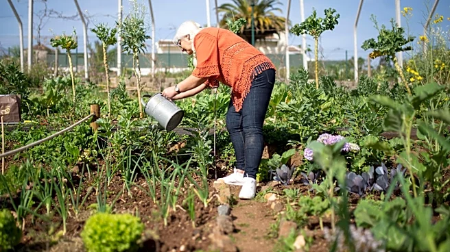How gardening can keep you fit and relaxed