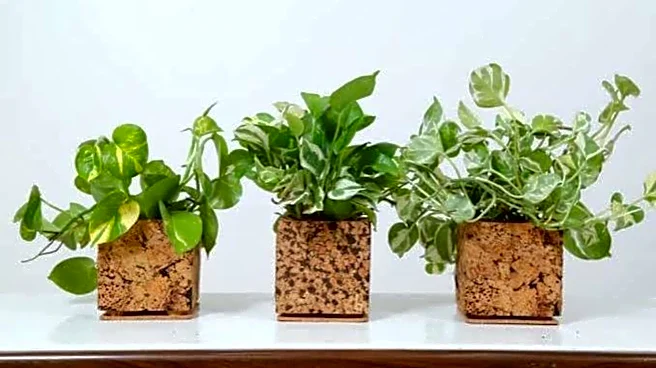 5 creative ways to use cork in home decor