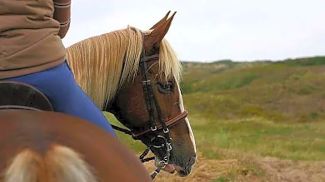 Explore Lesotho's remote highlands on a pony trek