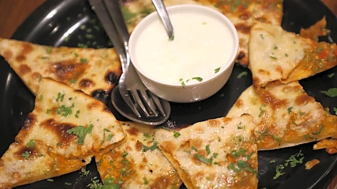 What are paratha pockets?
