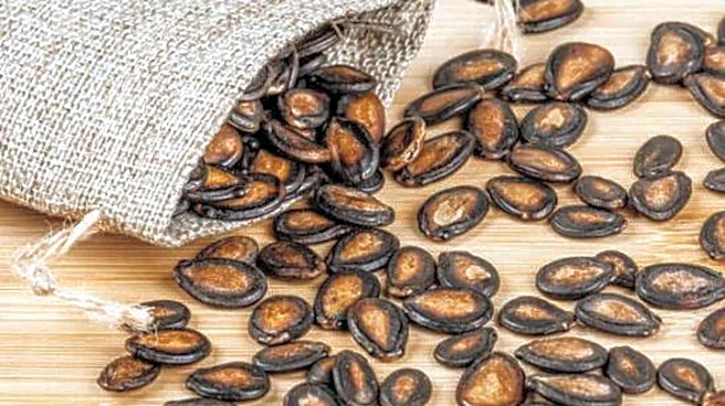 5 breakfast ideas using watermelon seeds
