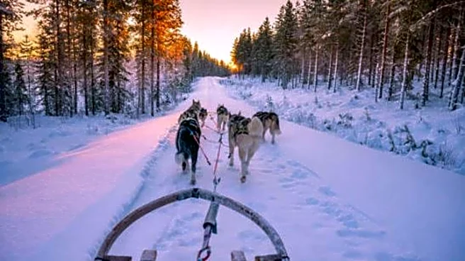 Top winter activities to try in Quebec, Canada