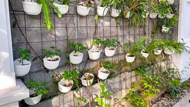How to grow spinach in vertical wall planters