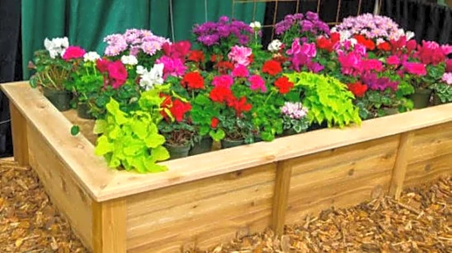 How to turn old wooden boxes into plant pots