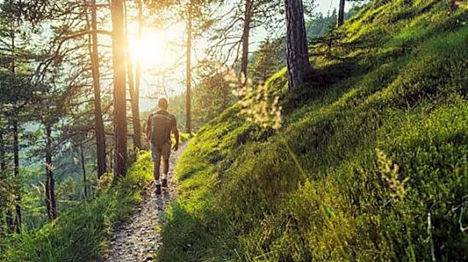 Slovenia's magical forest hikes: A list