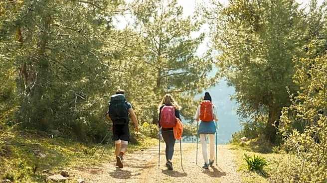 Want better cardio without stressing your joints? Consider hiking