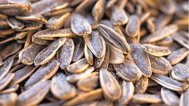 Bulgarian sunflower seeds: 5 snacks to try