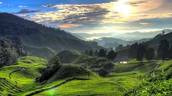 Cameroon Highlands: An underrated hiking spot