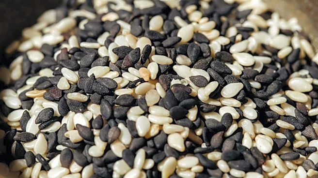 Want to lower cholesterol? Add sesame seeds to your diet