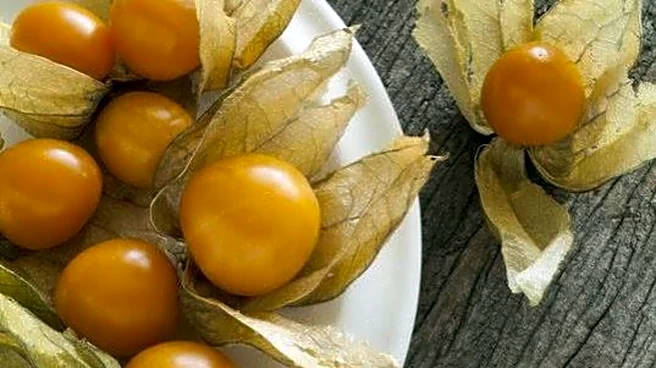 Goldenberries: A superfood for digestive health