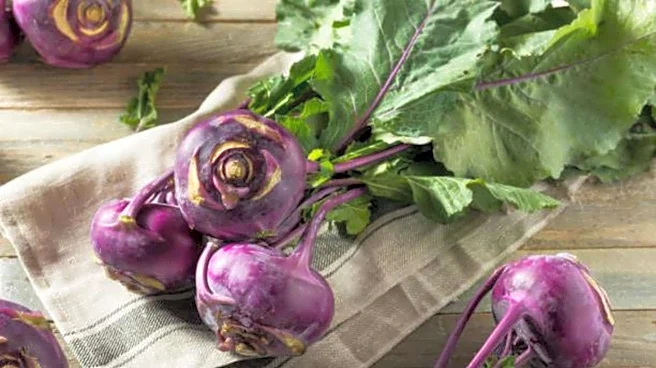 Meet kohlrabi, the next big thing in healthy eating
