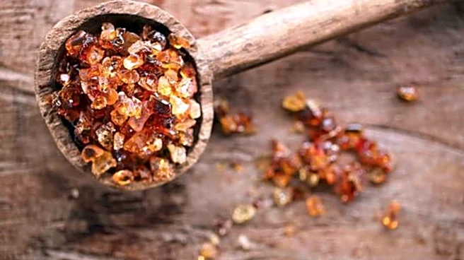 Why health experts are talking about gum arabic