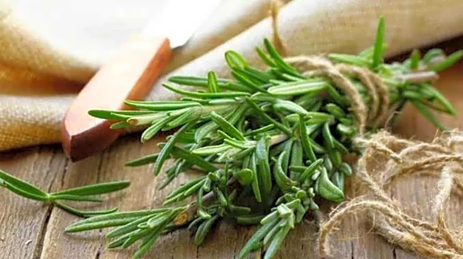 5 traditional dishes that use rosemary