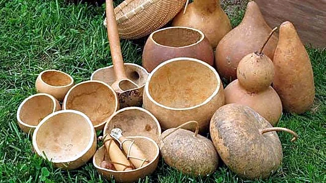 How gourds are transformed into unique art pieces