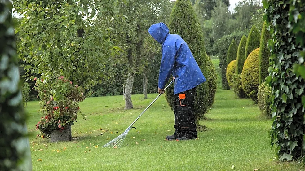 Raking: The everyday yard chore that secretly fixes your posture