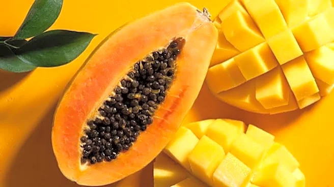 Mango v/s papaya: Comparing their nutrition