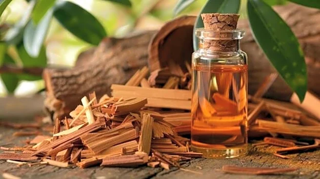 What makes East African sandalwood so valuable