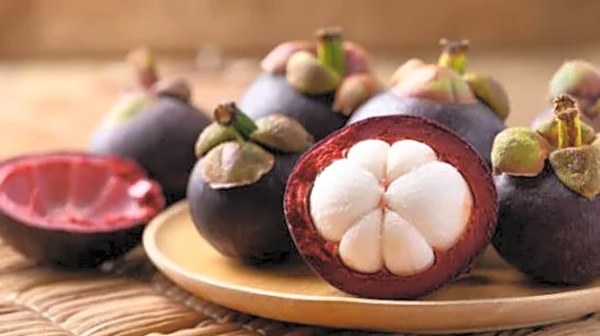 Meet the queen of fruits, mangosteen