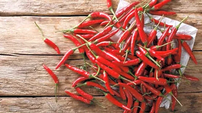 Piri piri pepper: 5 dishes to spice up your meals