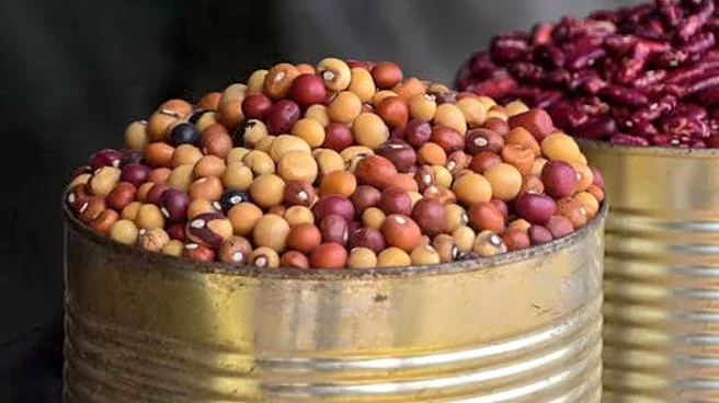 Bambara groundnut: A versatile legume for everyday meals