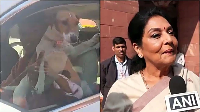 'Biting ones sitting inside': Congress MP brings dog to Parliament