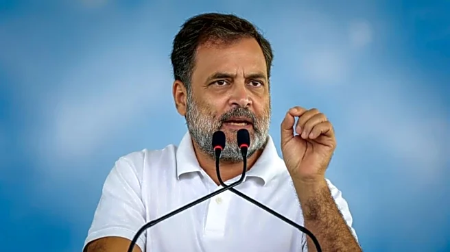 'Everything is in no.16': What is Rahul Gandhi referring to