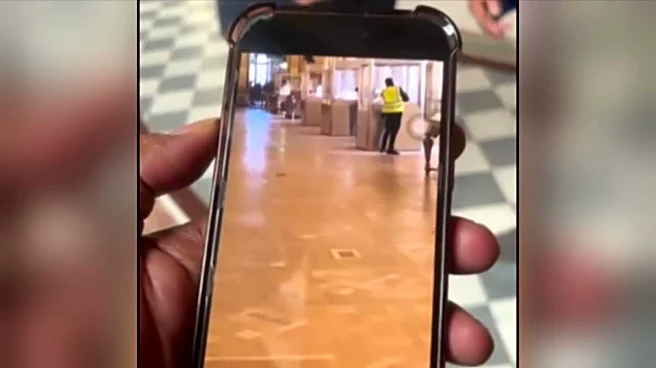 Video: Louvre heist caught on camera; man cuts through glass-case