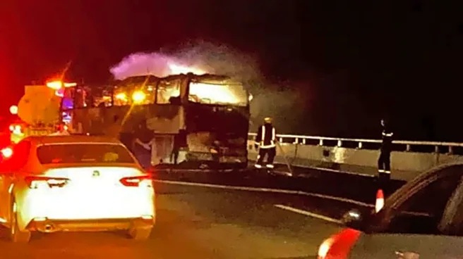 45 Indian pilgrims killed in bus-tanker collision in Saudi