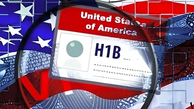 'Chennai got 220,000 H-1Bs': US economist alleges fraud in system