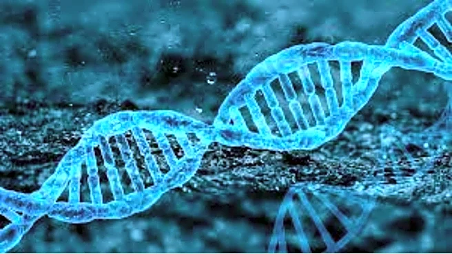 Sperm donor with cancer-causing gene fathers nearly 200 children