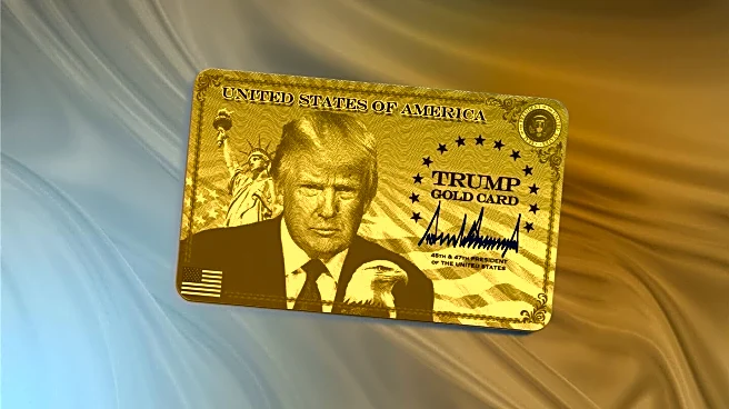 'Direct path to citizenship': Trump launches $1M 'gold card' visas
