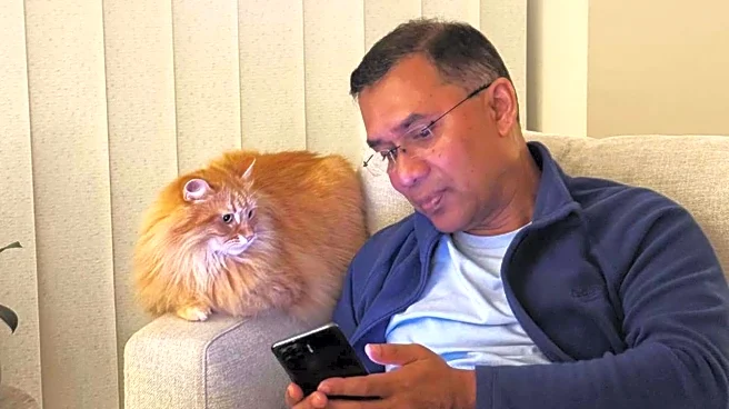 Meet Jebu, Tarique Rahman's cat who stole the show