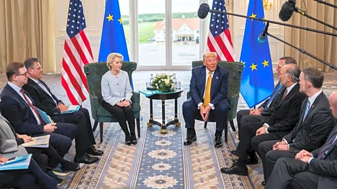 'No alternative': What EU said on freezing US trade deal